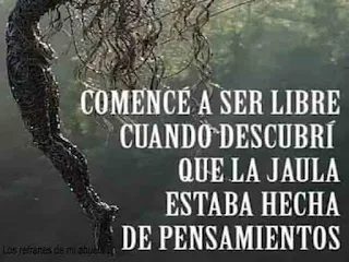 Frases de Bert Hellinger
