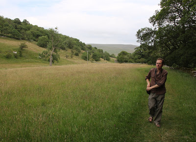 northern hay meadow, yockenthwaite, yorkshire dales