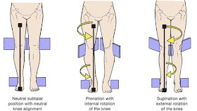 Yiquan, Zhan Zhuang, correct knees ankle alignment