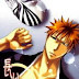 Bleach doujinshi A Long Night (Español)