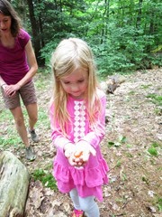 IMG_6127 IMG_6127
