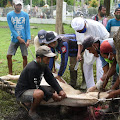 Pemkab Deliserdang Sembelih 74 Lembu, 8 Kambing