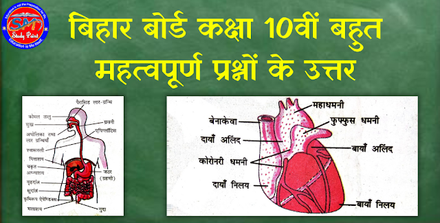 Bihar Board Class 10th Most Important Questions Answer | Class X Biology VVI Question | बिहार बोर्ड कक्षा 10वीं बहुत महत्वपूर्ण प्रश्नों के उत्तर | क्लास 10 जीवविज्ञान प्रश्न