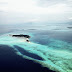 Pulau Dodola: Mutiara di Bibir Pasifik