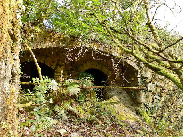 Old ovens once used in the china clay industry