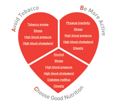 Risk Factors for Heart Disease