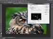 Professional Photoshop