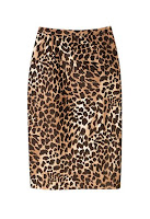 Pencil Skirt is The Hit Of This Season (Fall 2008)