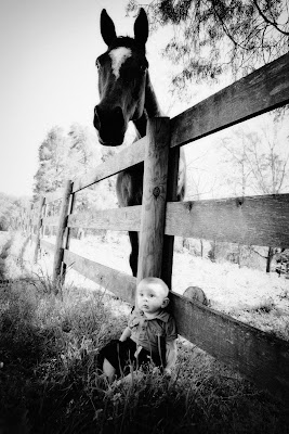 baby and a horse