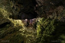 IMG_5755