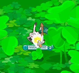 animal jam flash blog
