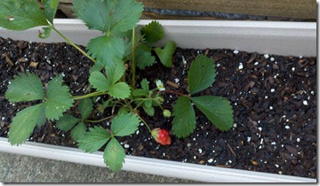 2012-04-09_07-18-13_530 2012-04-09_07-18-13_530