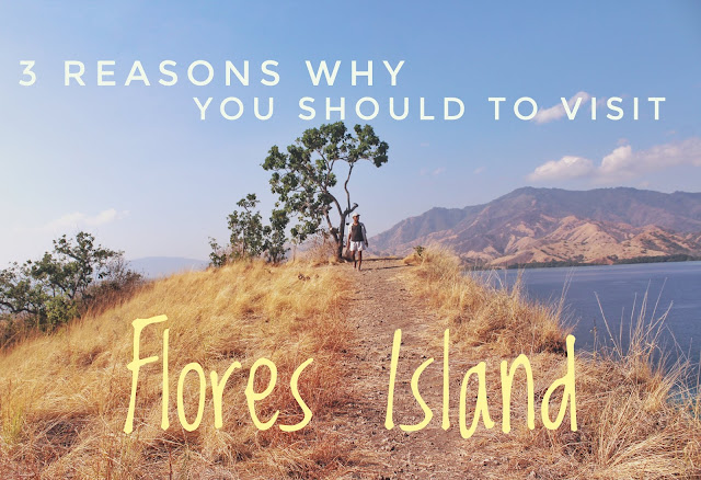 3 Reasons why you should to visit Flores Island