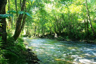 Ibias, Senda del oro, río Ibias