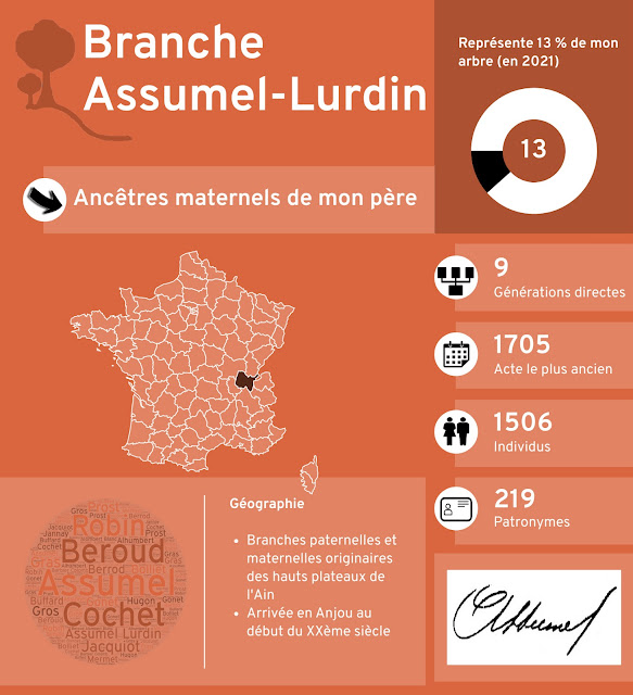Infographie de la branche Assumel-Lurdin de ma généalogie