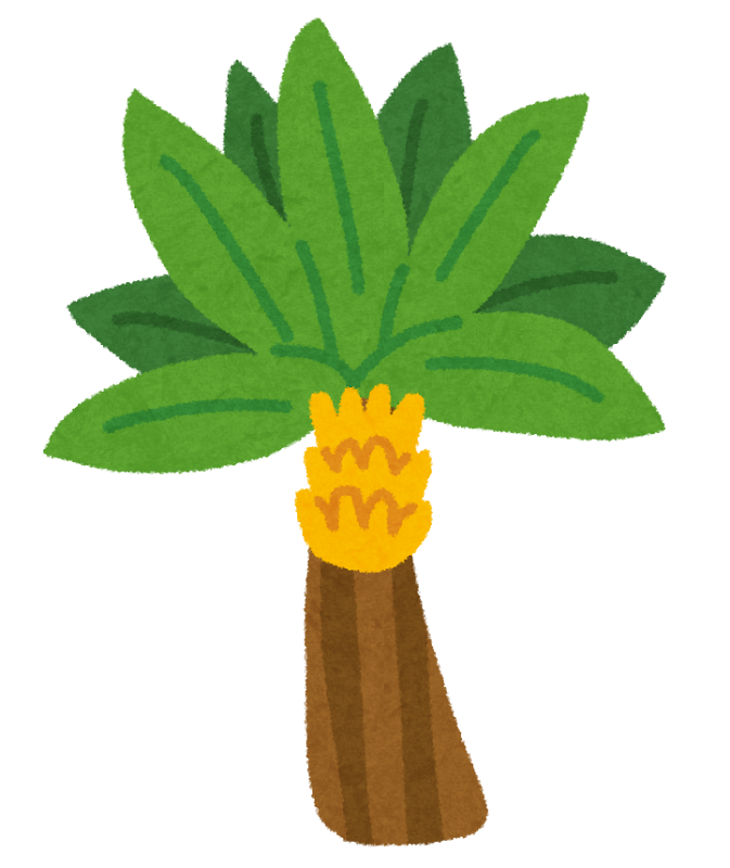 バナナの木のイラスト かわいいフリー素材集 いらすとや バナナの木のイラスト かわいいフリー素材集 いらすとや