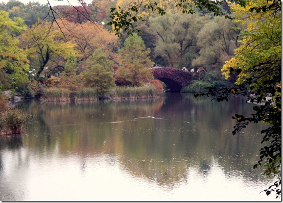 fall-central-park-colors-foiliage