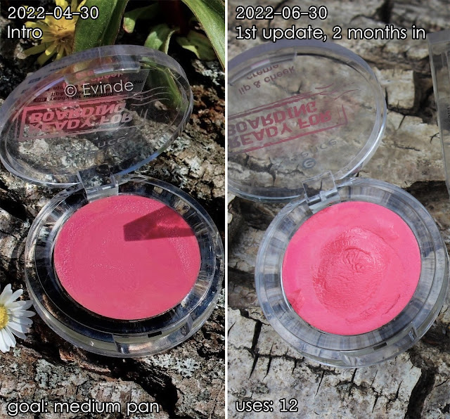 essence ready for boarding cream blush