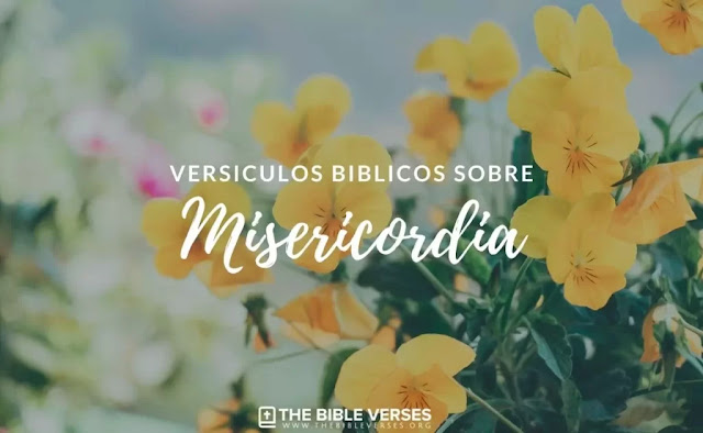 25 Versículos de la Biblia sobre la Misericordia