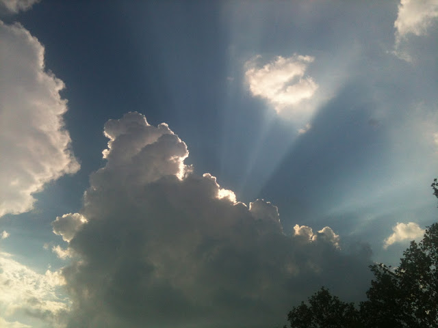 Clouds, treetops, bright sunlight being blocked by the clouds.