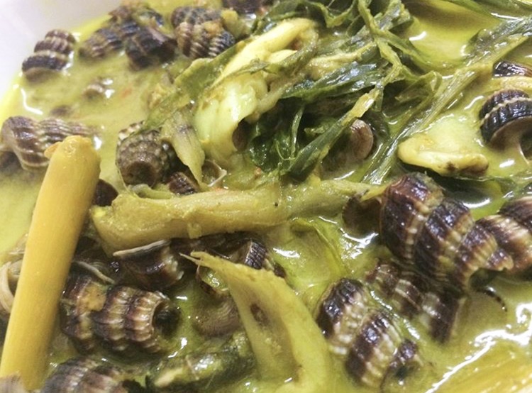 Resepi 1 Kilo Siput Lemak Cili Padi - Resepi Siput Sedut ...
