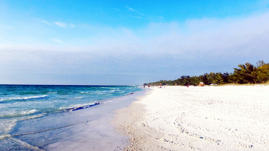 10 Best Beaches To Snorkel in Florida