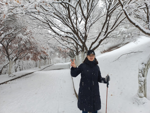올림픽공원 몽촌토성 눈꽃산책