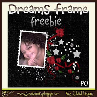 http://rosecabralscrap.blogspot.com/2009/10/frame-com-cara-de-natal-mais-um-freebie.html