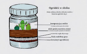 ogródek w słoiku - ogródek w szkle - las w słoiku - pielęgnacja kaktusów