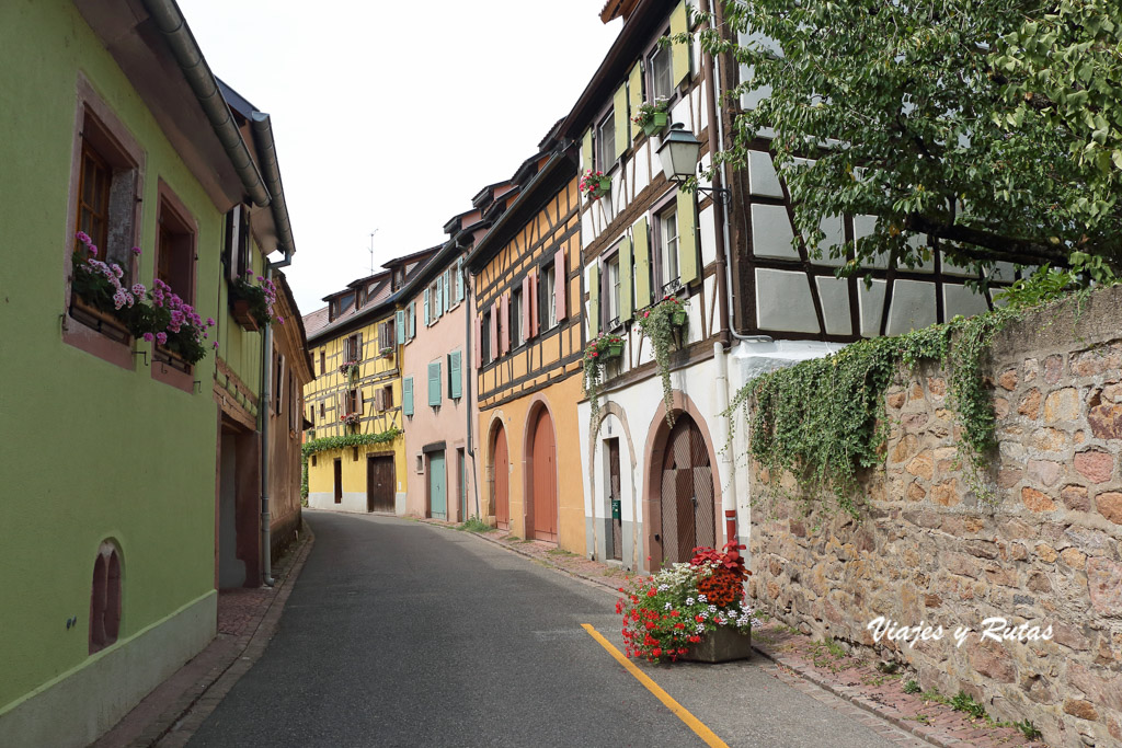 Rue des Vignerons de Turckheim