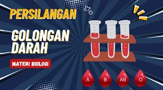 Cara Mudah Menentukan Persilangan Golongan Darah Sistem ABO, Materi Biologi SMA Kelas 12