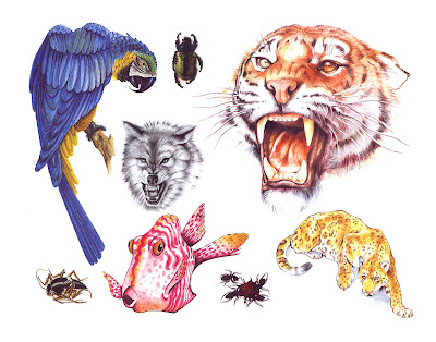 free tattoo flash sheets free tattoo flash sheets