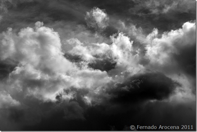 fernando arocena - tormenta 1