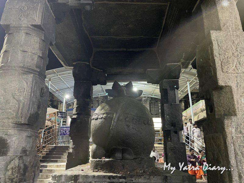 Arunachaleshwara Temple Nandi Bull - Tiruvannamalai Tamil Nadu