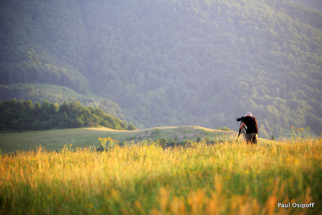 Karpaty. Ukraine.