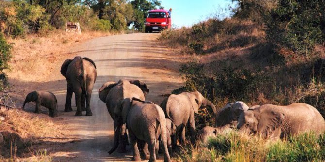 Taman Nasional Kruger