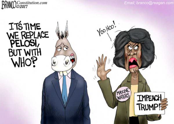 Image result for Maxine waters cartoon