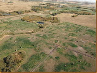 P9216651
