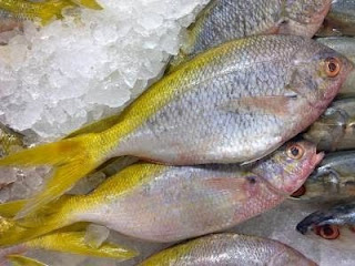 ikan ekor kuning