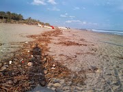 Barra Vieja en Acapulco, descuidada en fin de semana