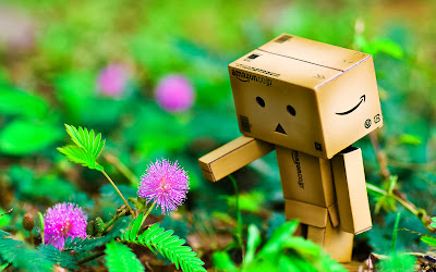 Wallpaper Danbo computer free