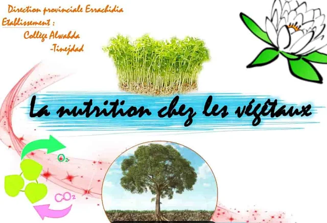La nutrition chez les végétaux 1ac pdf