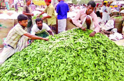 ঈশ্বরদীতে প্রতিদিন কোটি টাকার শিম বেচাকেনা