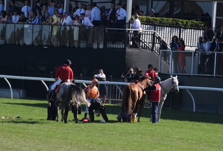 emirates stakes_gingernuts 9