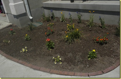Summer 2010 004