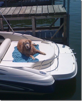 JoeBoat2
