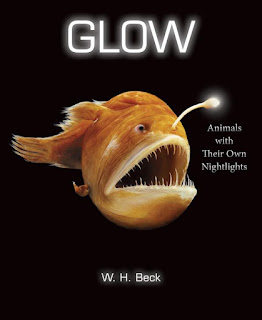 Glow by W. H. Beck book cover nonfiction