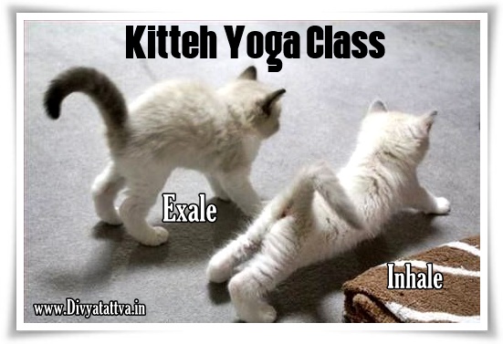 Meditaiton and Yoga funny pictures, yoga jokes with photos, spiritual humor 