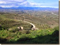 IMG_4346