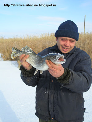 ловля щуки зимой